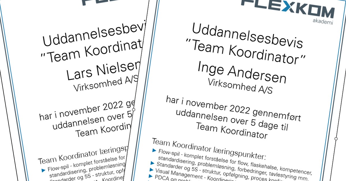 Team koordinator kursus
