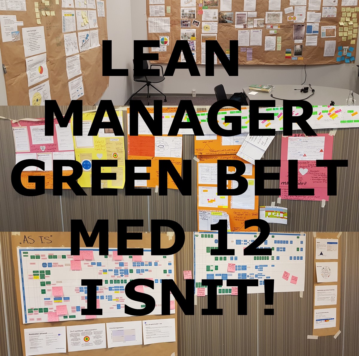 lean manager green belt 12 snit