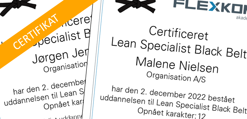 Lean Black Belt Uddannelse